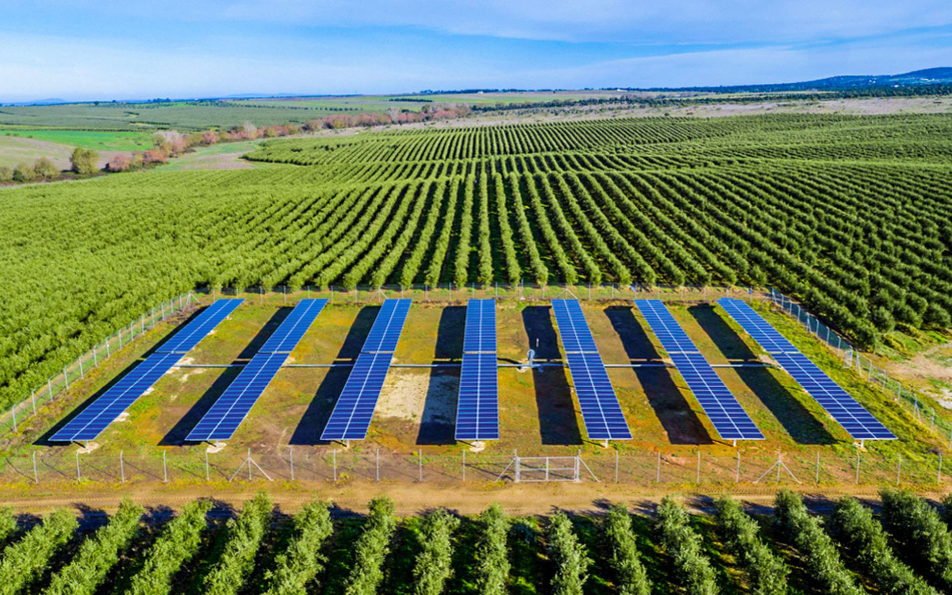 Instalación de sistemas de riego tecnificado